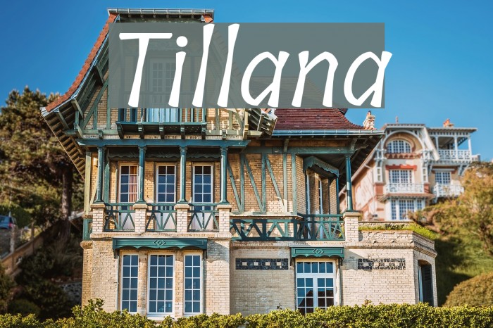 Tillana Font examples