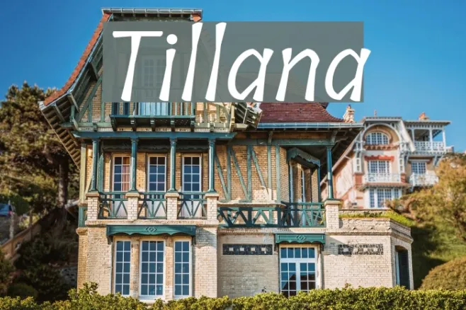 Tillana Example 3