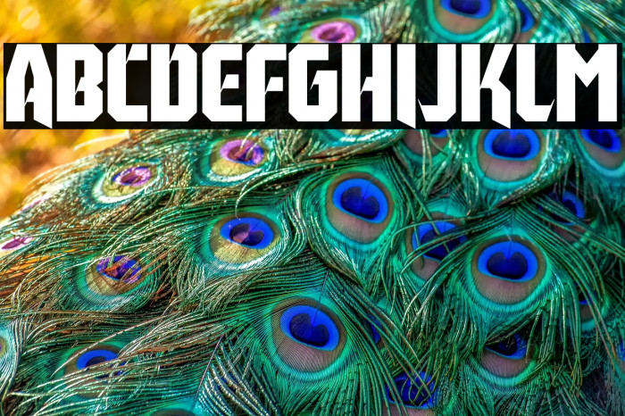 Tillburg DEMO Example 1