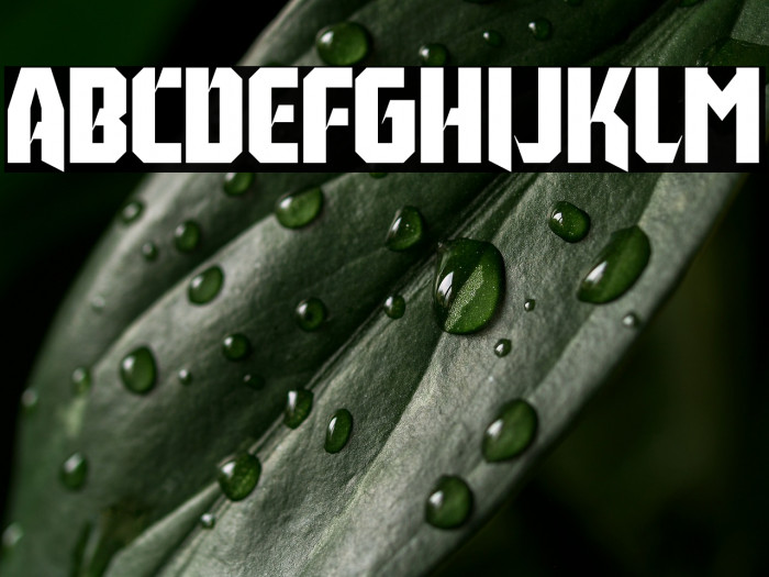 Tillburg DEMO Example 2