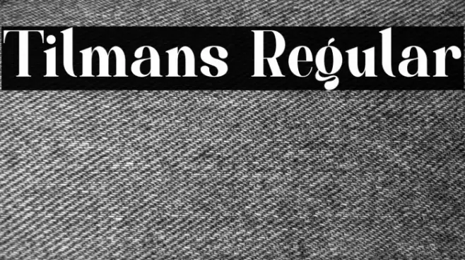 Tilmans Regular Font examples