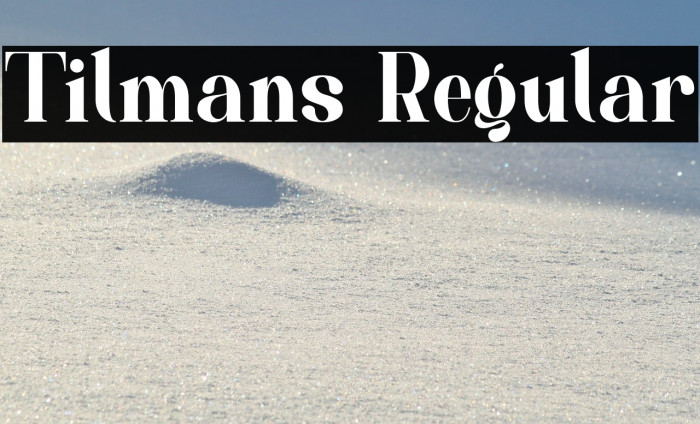 Tilmans Regular Example 2