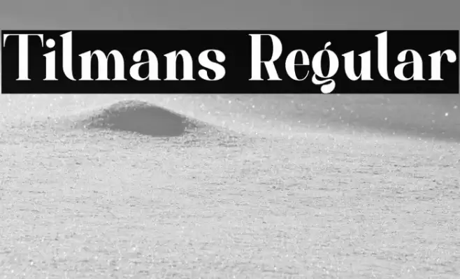 Tilmans Regular Font examples