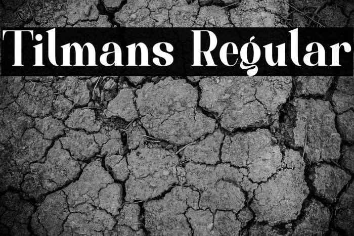 Tilmans Regular Example 3