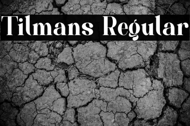 Tilmans Regular Font examples