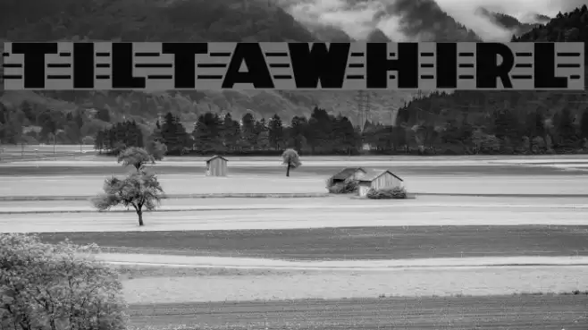 TiltAWhirl خط examples