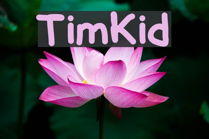 TimKid Font examples
