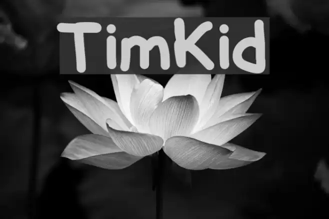TimKid Polices examples