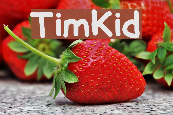 TimKid Font examples