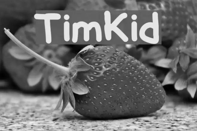 TimKid Polices examples
