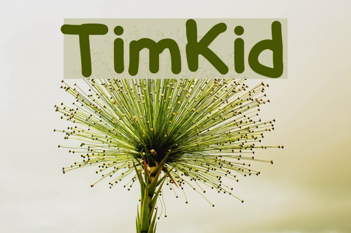 TimKid Font examples