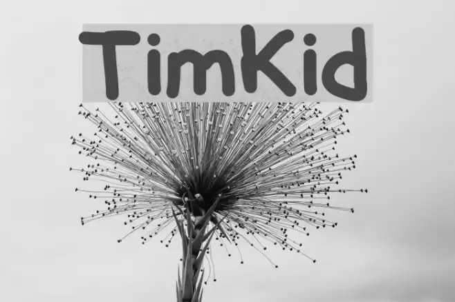 TimKid Polices examples