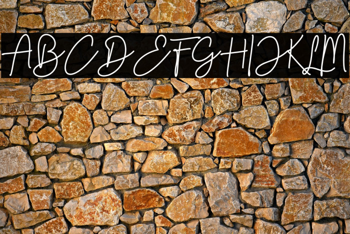 Timber Lake Example 1