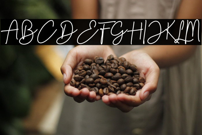 Timber Lake Example 3