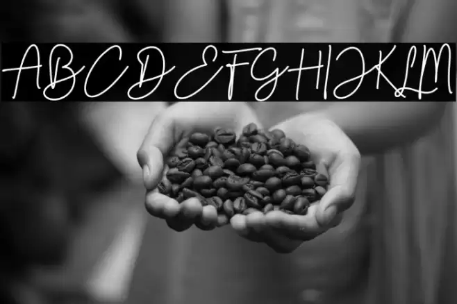 Timber Lake خط examples