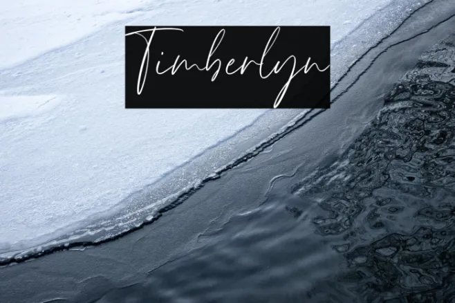 Timberlyn Example 1