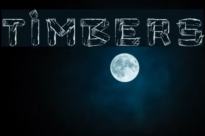 Timbers Example 2