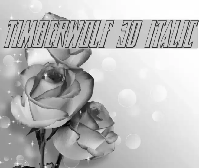 Timberwolf 3D Italic  examples