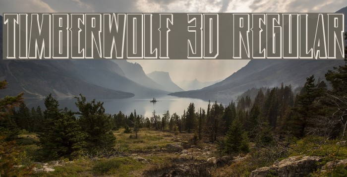 Timberwolf 3D Regular Example 2