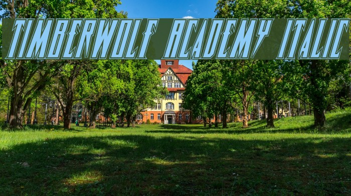 Timberwolf Academy Italic Font examples