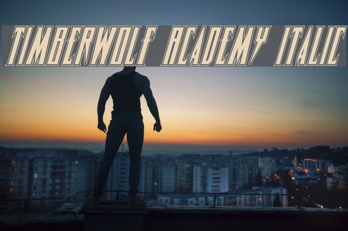 Timberwolf Academy Italic Font examples