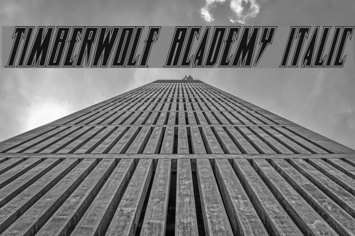 Timberwolf Academy Italic Font examples