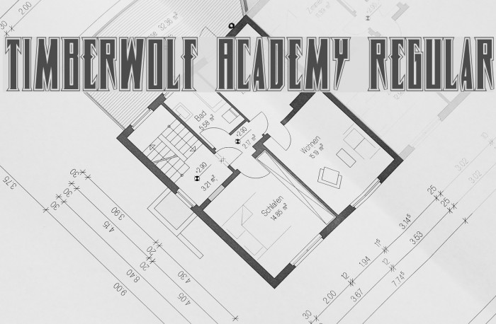 Timberwolf Academy Regular Font examples