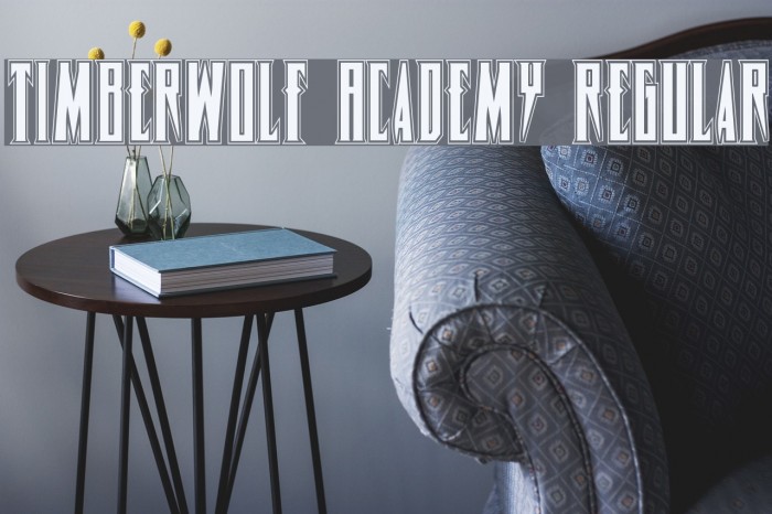 Timberwolf Academy Regular Font examples