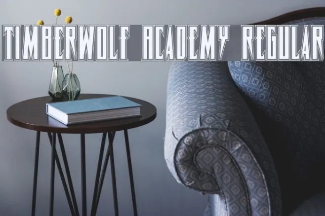 Timberwolf Academy Regular Example 2