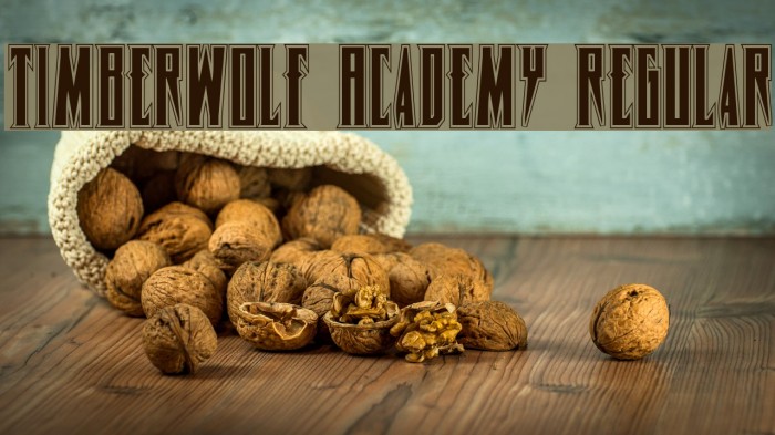 Timberwolf Academy Regular Font examples