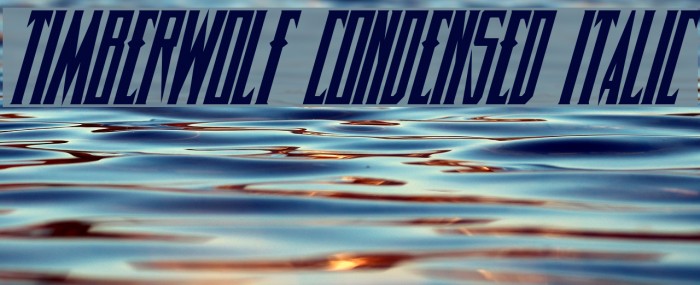 Timberwolf Condensed Italic Font examples