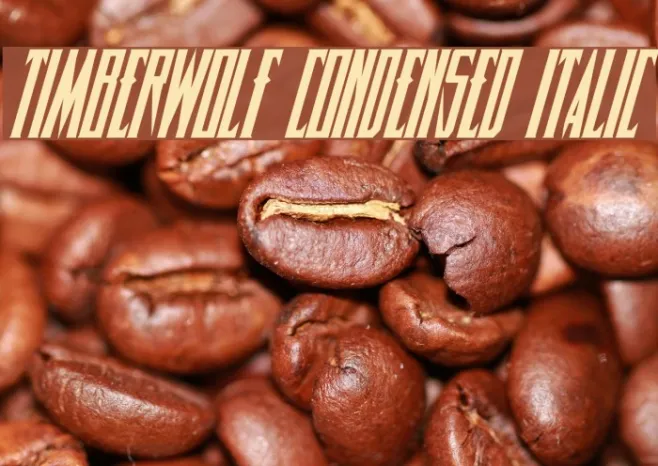 Timberwolf Condensed Italic Example 2