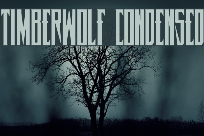 Timberwolf Condensed Font examples