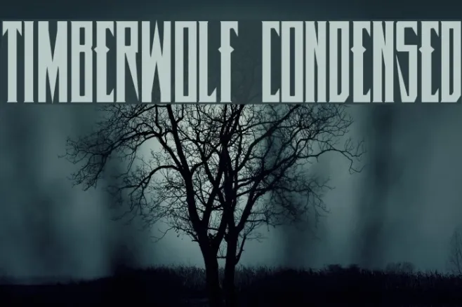 Timberwolf Condensed Example 1