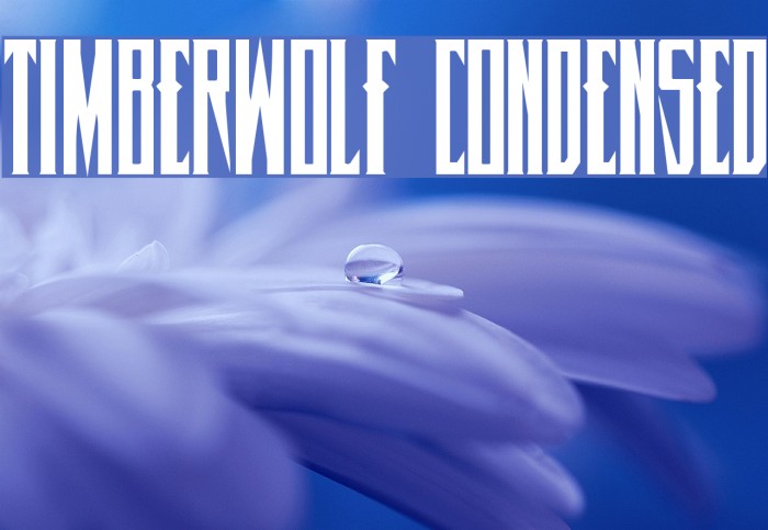 Timberwolf Condensed Font examples