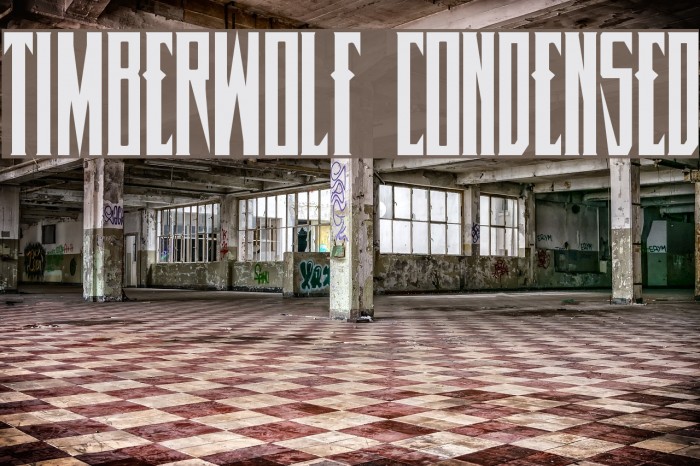 Timberwolf Condensed Font examples