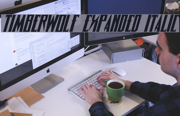 Timberwolf Expanded Italic Font examples