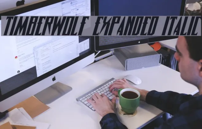Timberwolf Expanded Italic Example 1