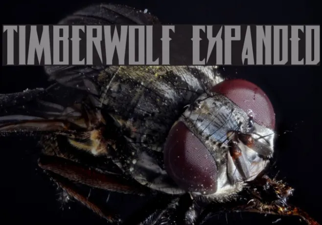 Timberwolf Expanded Example 1