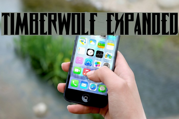 Timberwolf Expanded Font examples