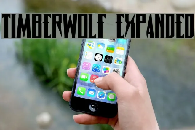 Timberwolf Expanded Example 2