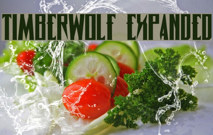 Timberwolf Expanded Font examples
