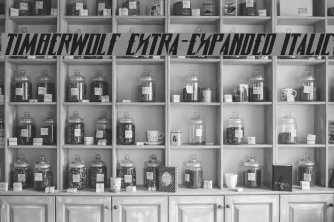 Timberwolf Extra-expanded Italic Font examples