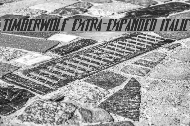 Timberwolf Extra-expanded Italic Font examples