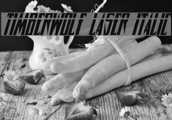 Timberwolf Laser Italic Font examples