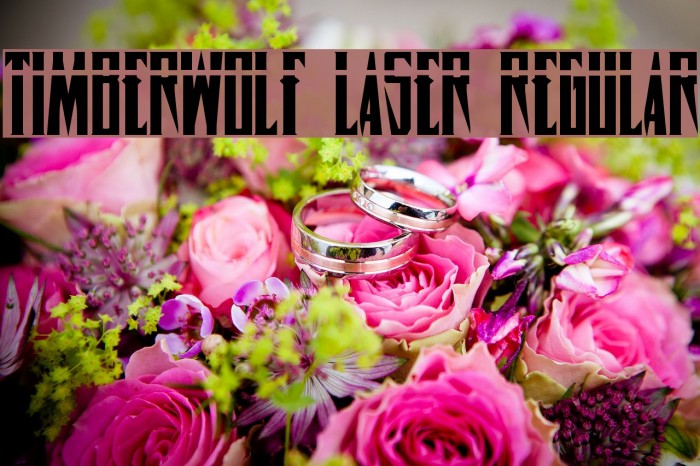 Timberwolf Laser Regular Font examples