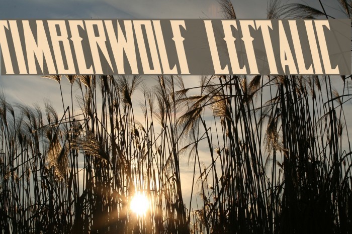 Timberwolf Leftalic Font examples