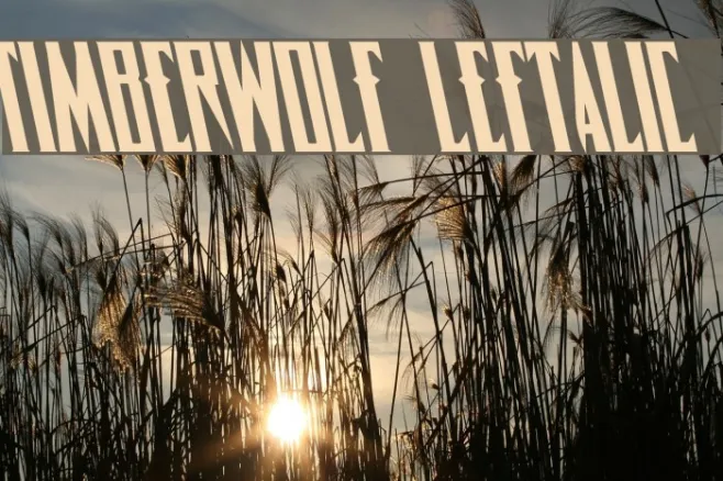 Timberwolf Leftalic Example 3