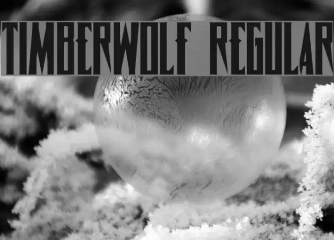Timberwolf Regular Font examples