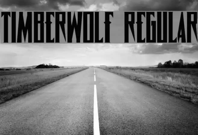 Timberwolf Regular Font examples